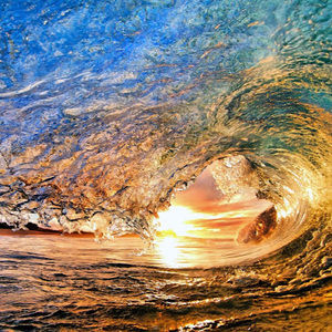 Meet your Posher, Aleecia